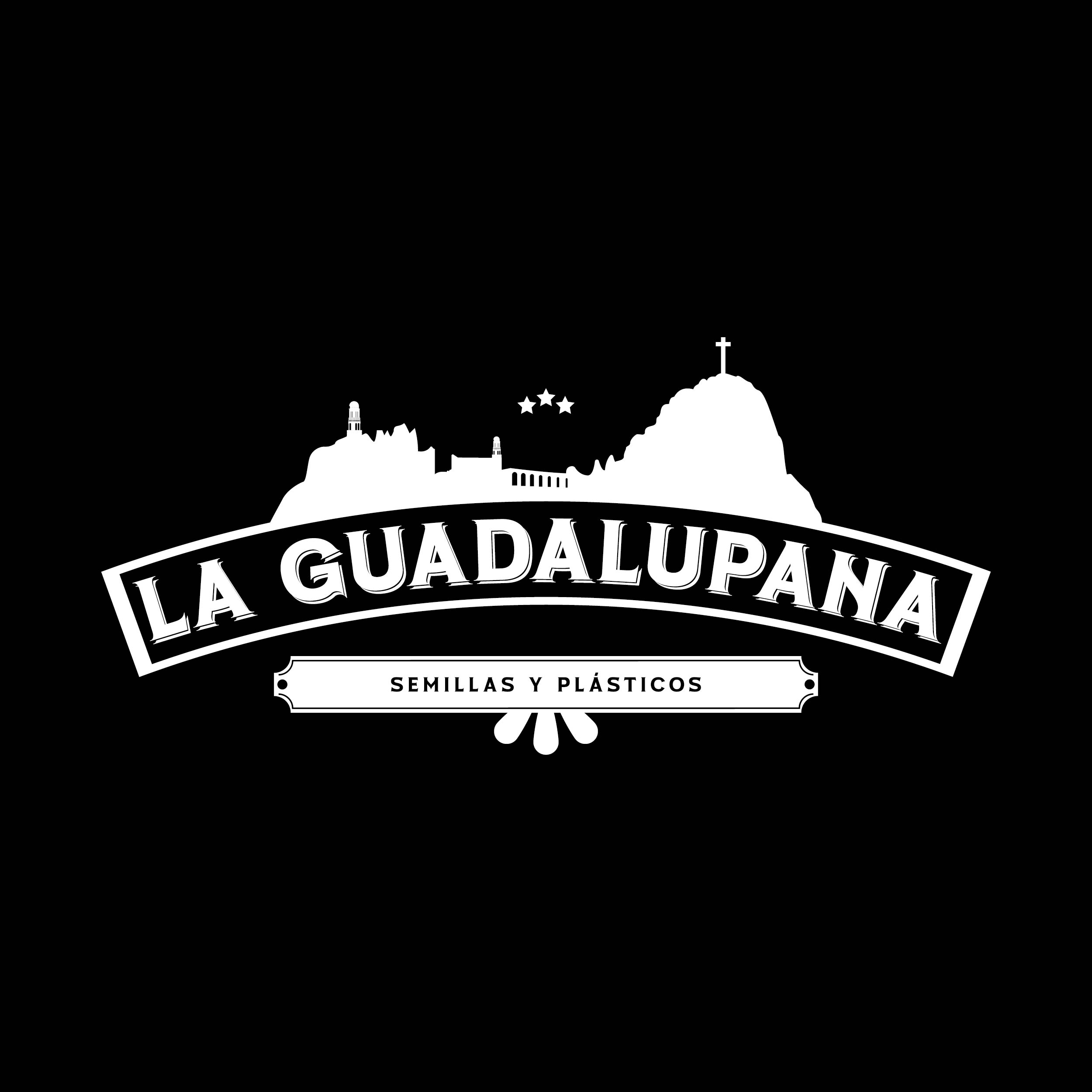 laguadalupanainsumos.com