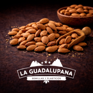 almendras frescas 
