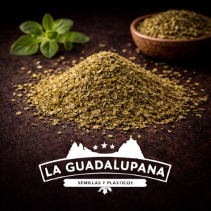 oregano
