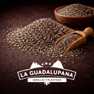 Chía