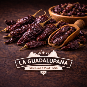 chiles morita y logo de la guadalupana