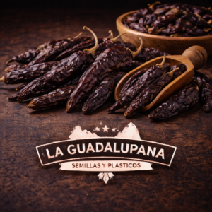 chiles pasilla en detalle