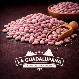 flor de junio y la marca la guadalupana