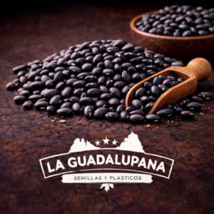 frijoles negros en detalle y logo