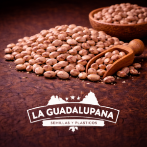 frijoles pintos en superficie rústica