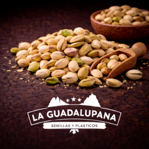 pistachos y logo de la guadalupana