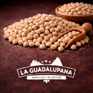 semillas de garbanzo en primer plano