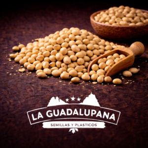soya 
